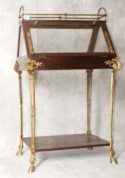 19th/20th C mahogany bronze mounted terrarium: 19th/20th C mahogany bronze mounted terrarium raised on bronze paw feet. H:43" L:25" D:18"