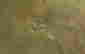 item-39108162=4