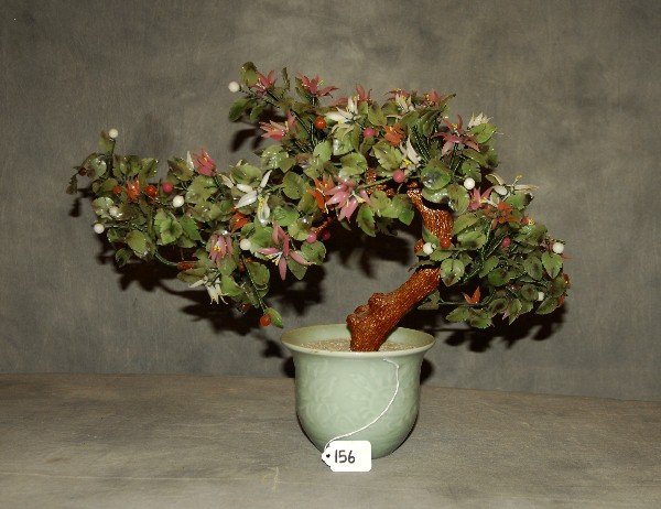Chinese jade tree in celadon porcelain planter.: Chinese jade tree in celadon porcelain planter. Overall: 14"