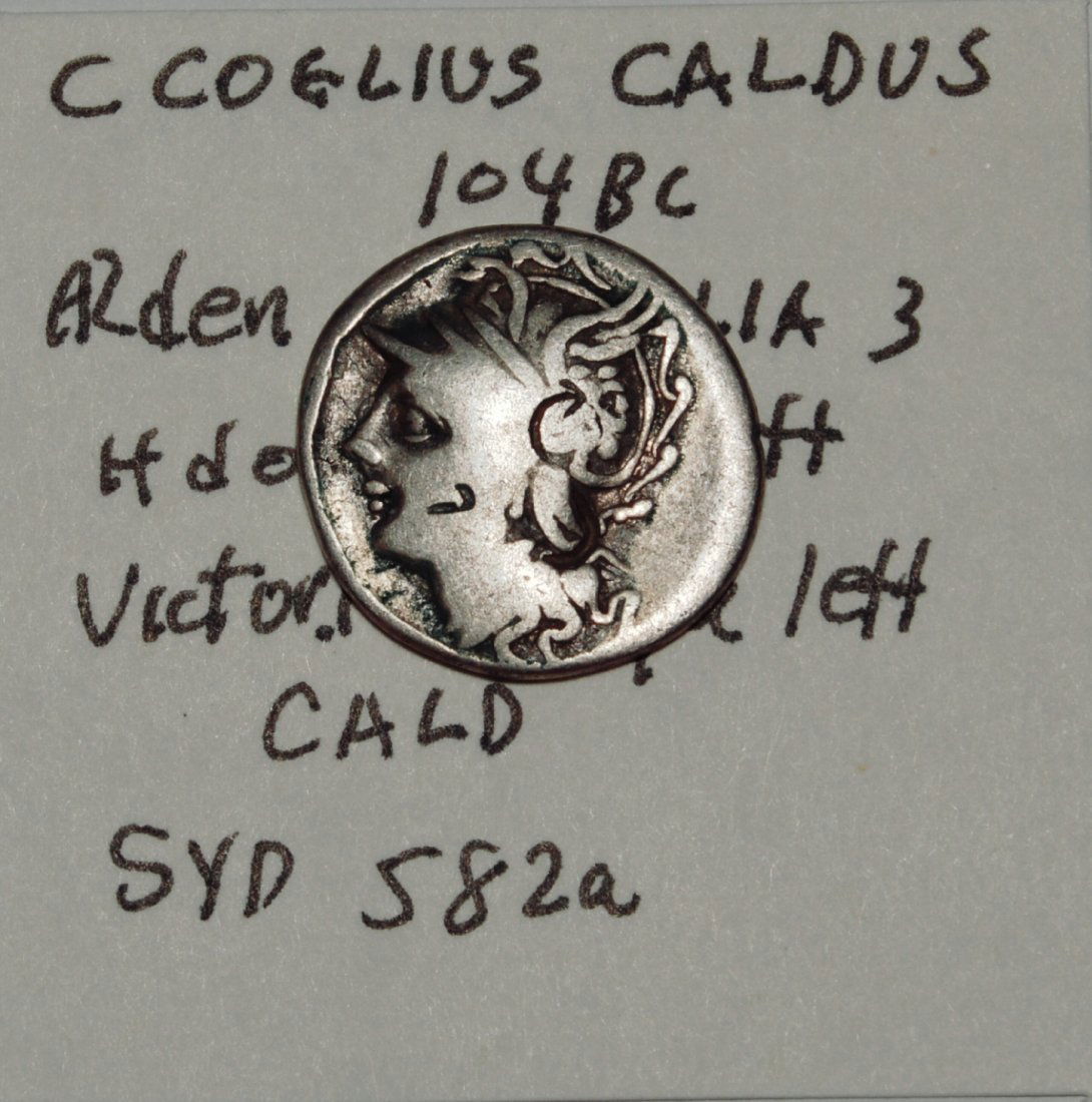 ROMAN REPUBLIC, C. COELIUS CALDUS. 104 BC. AR DENARIUS (1 of 3)