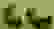 item-10790564=5