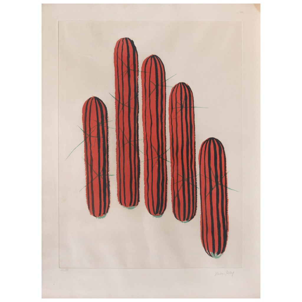 MAN RAY(E.E. U.U., 1890 - Francia, 1976) Sin título, de la serie Transfiguration d'un cactus,: MAN RAY(E.E. U.U., 1890 - Francia, 1976)Sin título, de la serie Transfiguration d'un cactus, 1971Firmado a lápizGrabado al aguafuerte y aguatinta H1 / 99Presenta mínimos detalles de conservación.6