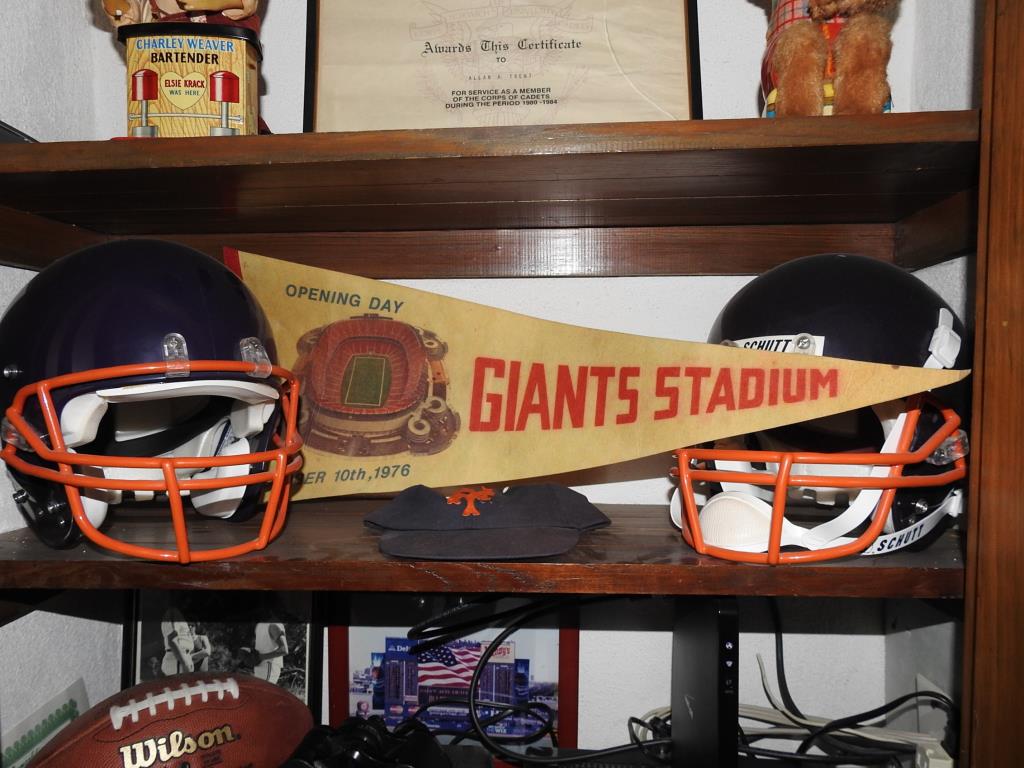 New York Sports Shelf Lot (1 of 5)