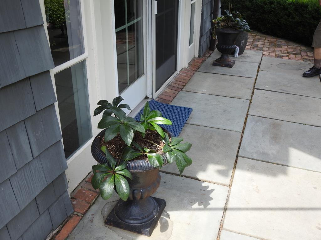 Pair Of Stone Urns (1 of 3)