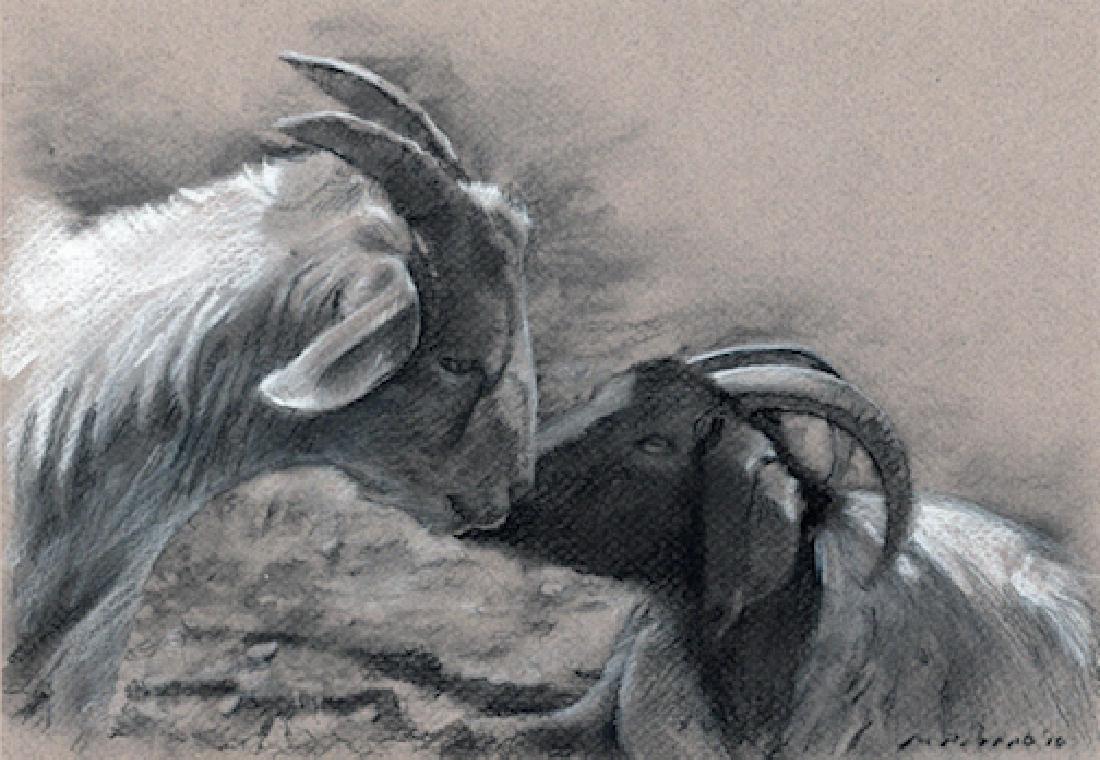 "Yearling", Marcus Pierno (1 of 1)