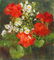 Salmagundi: Kathy Anderson