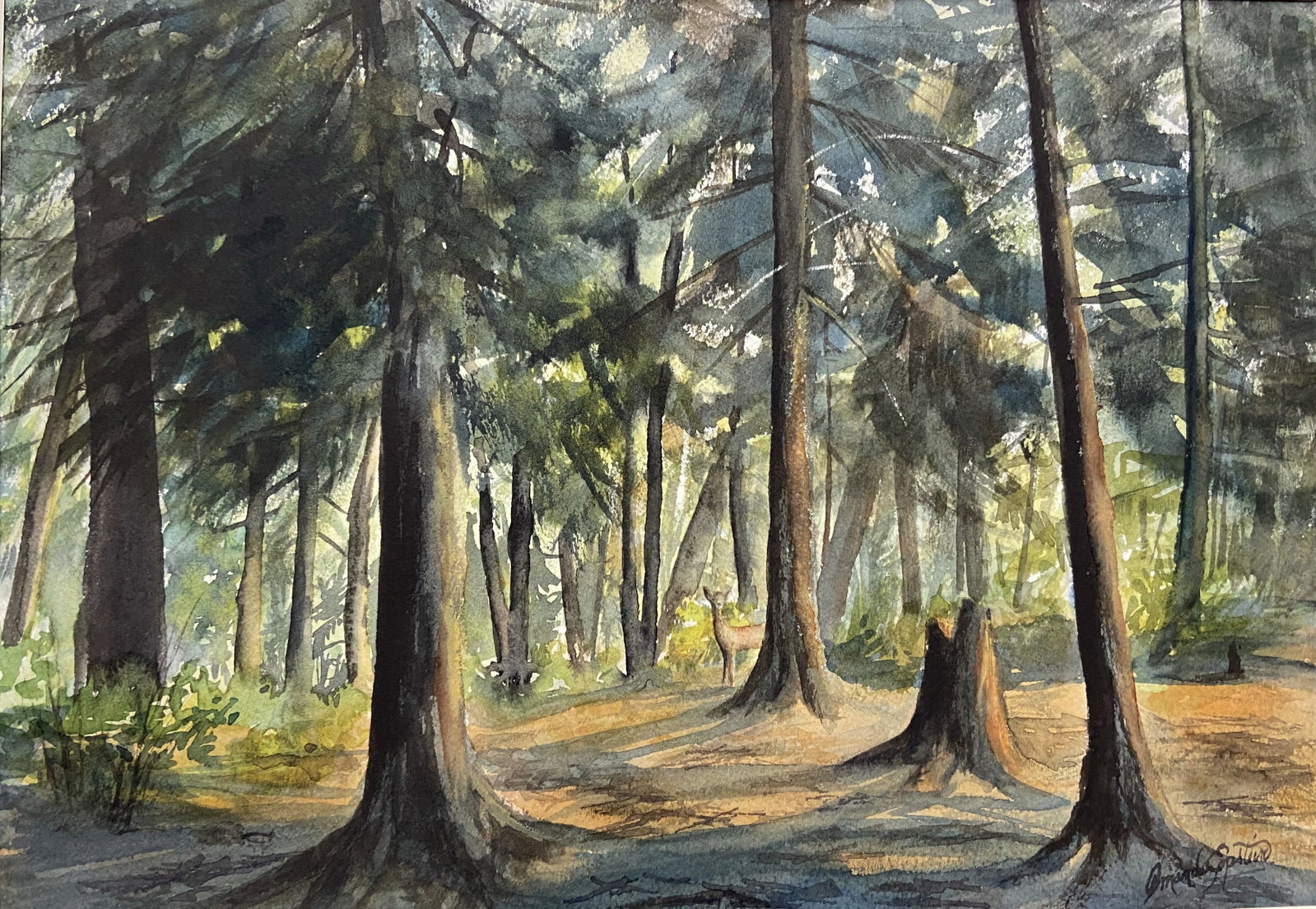 Salmagundi: Amanda Epstein: This Salmagundi work of art is titled, "Adirondack Woods". This piece was painted from the artist's campsite in the Adirondacks. Watercolor. Image Size: 9" x 13" Framed Size: 18" x 22" Amanda Epstein 