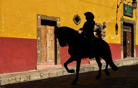 David Reinfeld : San Miguel Parade #1