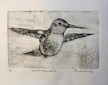 Robin Jane Solvang : Hummingbird III