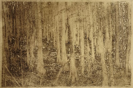 Susan Talbot Hoffmann : Louisiana Cypress Swamp II