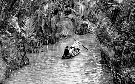 Mary McKenna Ridge : The Mekong Delta