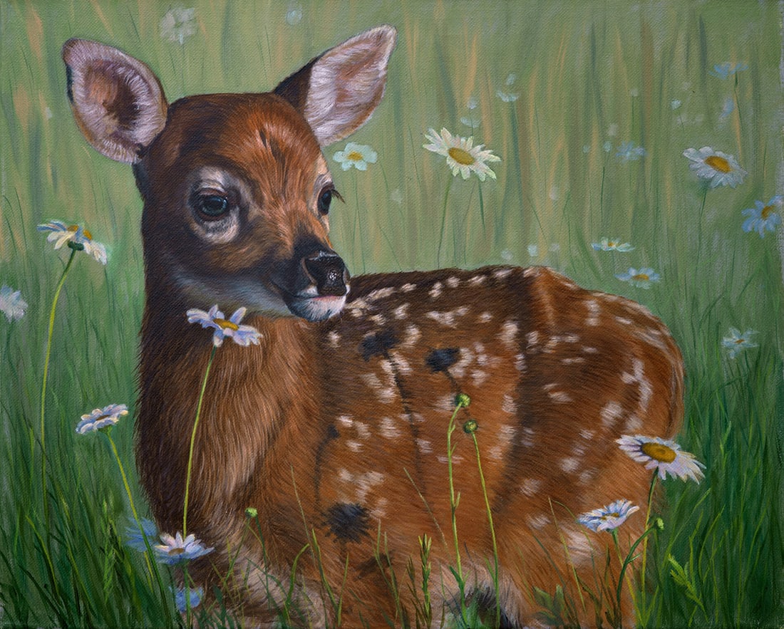 Deborah LaFogg Docherty : Field of Daisies: This Salmagundi work of art is titled, "Field of Daisies" (Salmagundi Club Collection). Oil. 16 x 20 (size) 24 x 20 (framed). Deborah LaFogg an artist working in oils and pastels sharing her experienc