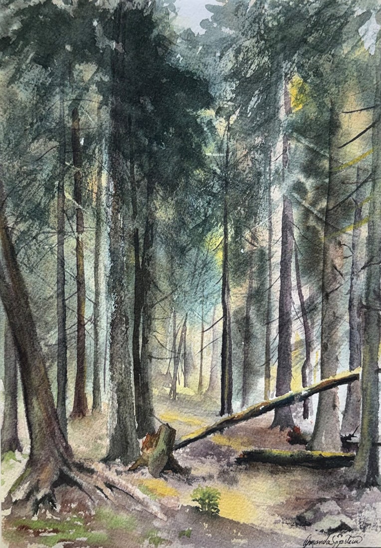 Amanda Epstein : Adirondack Woods: This Salmagundi work of art is titled, "Adirondack Woods". Watercolor. 10x7 (size) 17.5x14.5 (framed). Amanda is a prize winning watercolorist who teaches both watercolor and dance. She has had severa
