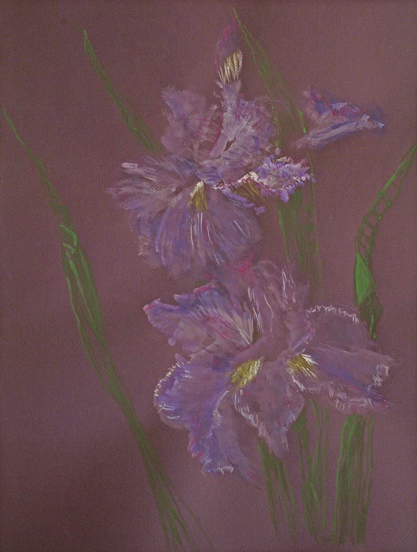 Susan Hoffmann : Bubblegum Ballerina Louisiana Iris: This Salmagundi work of art is titled, "Bubblegum Ballerina Louisiana Iris". Watercolor. 30x18 (size) 34x32 (framed). Susan Hoffman was born in Louisiana and grew up admiring the beauty of these nativ