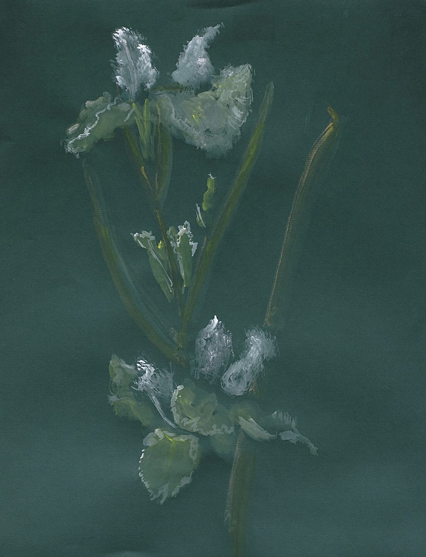 Susan Hoffman : New Orleans Lady Louisiana Iris: This Salmagundi work of art is titled, "New Orleans Lady Louisiana Iris". Watercolor. 30x18 (size) 34x32 (framed). Susan Hoffman was born in Louisiana and grew up admiring the beauty of these native f