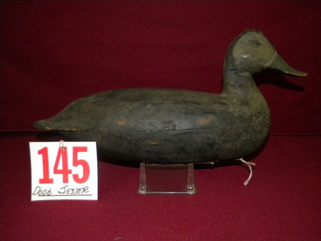 antique Doug Jester black duck carving: Doug Jester black duck from local collector very good chincoteague gunning bird