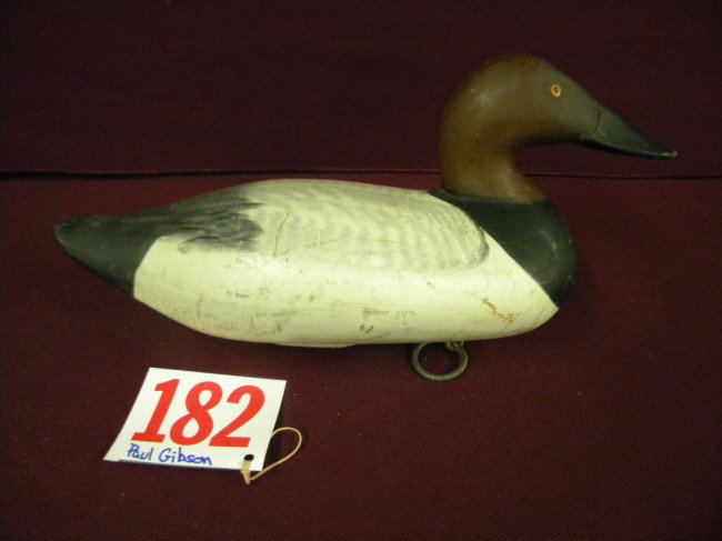 Paul Gibson canvasback: Paul Gibson canvasback