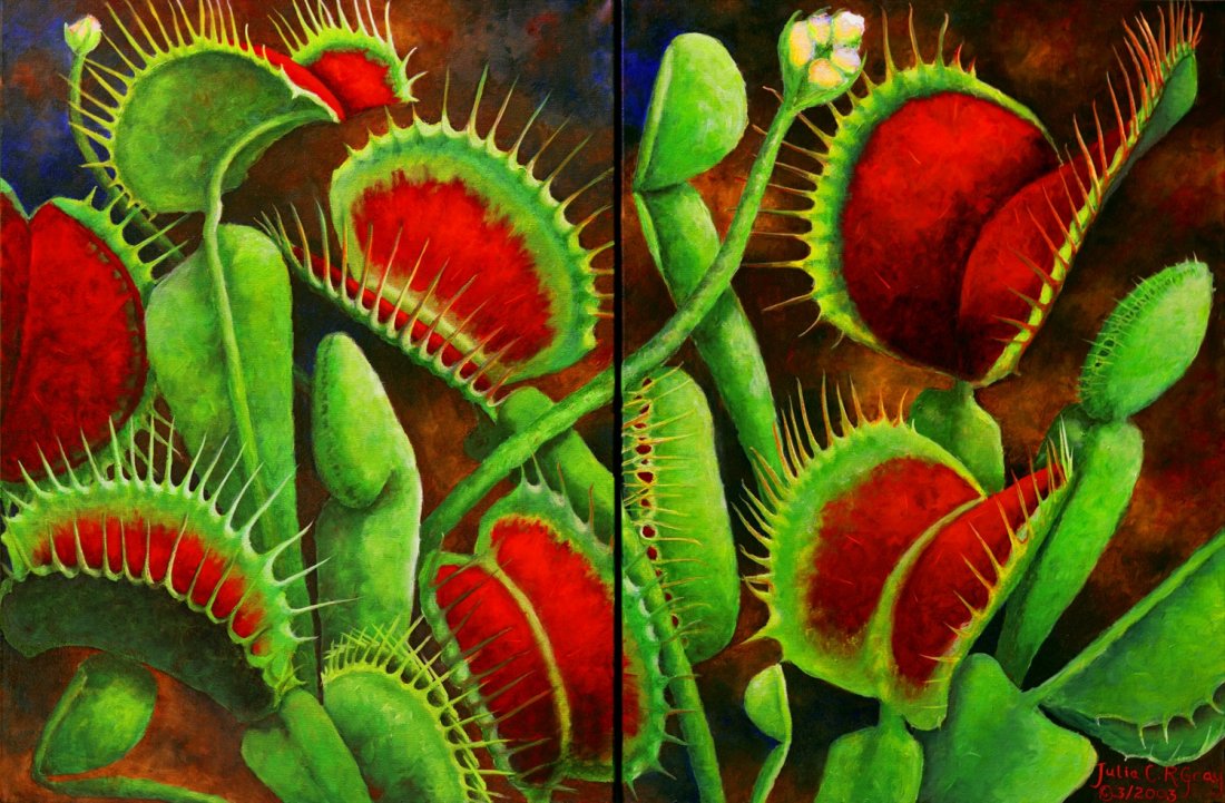 Julia C. Gray: Original painting "Lovely Venus": You are bidding on an Original Painting by San Diego living Artist Julia C. Gray titled "Lovely Venus". Part of series titled Wild Bogs. Diptych 24x36. Signed Lower Corner. Stretched on Wood Frame. Th