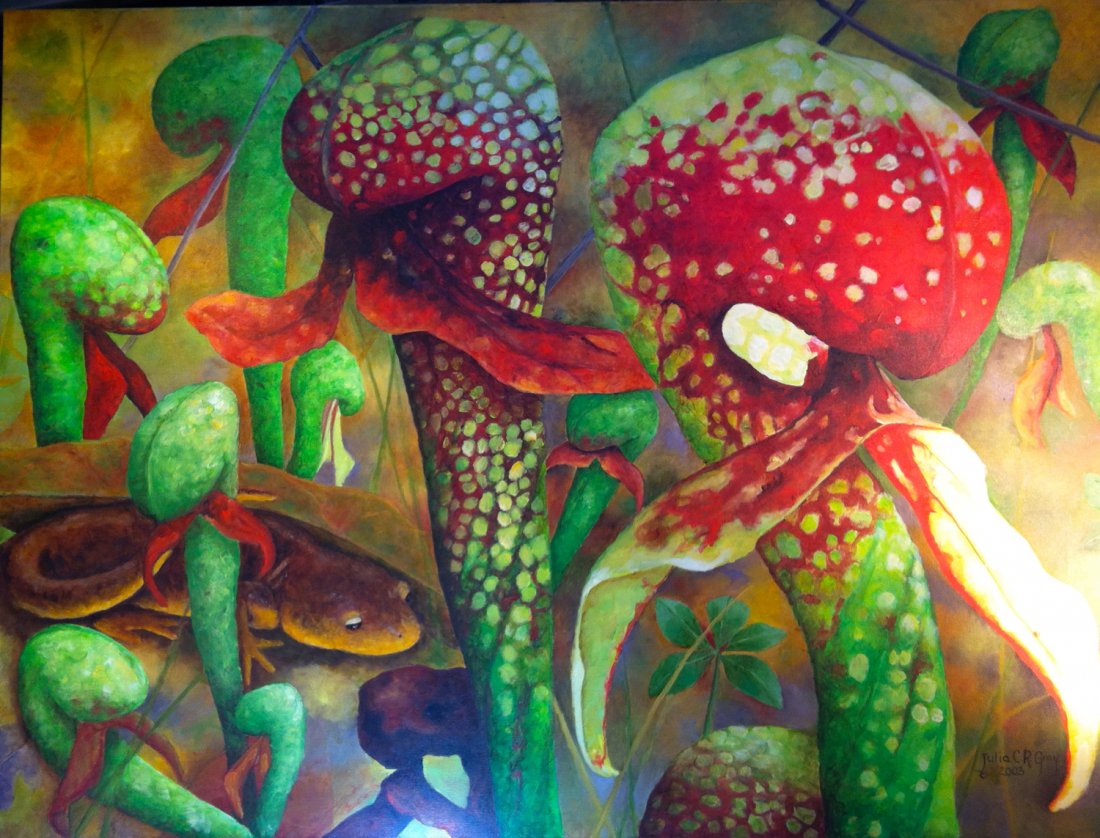 Julia C. Gray: Original painting "Newty: You are bidding on an Original Painting by San Diego living Artist Julia C. Gray titled "Newty's Eye View". Part of series titled Wild Bogs. Oil on Canvas 36x48. Signed Lower Corner. Stretched on Wood