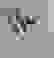item-53540760=3