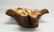 Vintage Tree Trunk Burl Wood Centerpiece Bowl - 2