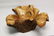 Vintage Tree Trunk Burl Wood Centerpiece Bowl - 4