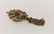 14K Rose Gold & Diamond Victorian Floral Brooch - 5