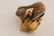 Vintage 18k Grotto Shell & Gem Stone Cocktail Ring - 4