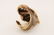 Vintage 18k Grotto Shell & Gem Stone Cocktail Ring - 8