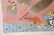 Peter Max Litho, Lady of Fashion w Flying Produce - 4