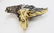18k White & Yellow Gold Ring w a Jeweled Parrot - 4