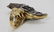 18k White & Yellow Gold Ring w a Jeweled Parrot - 8