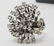 14k White Gold & Diamond Snowflake Evening Ring