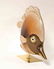 Oggetti Angel Fish Sculpture by Mangani - 2