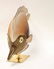 Oggetti Angel Fish Sculpture by Mangani - 5