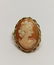 (5) Pc Gold Cameo Jewelry Lot: Earrings,Pins, Ring - 9