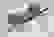 item-101687924=5