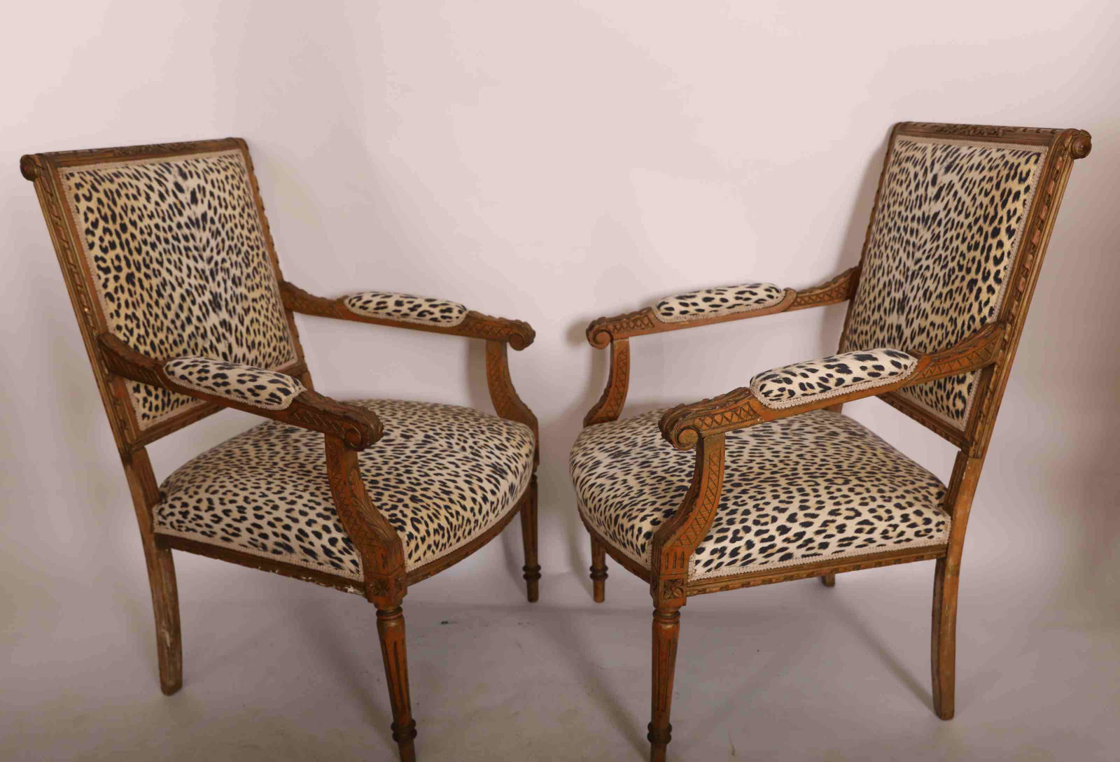 Pr. Antique French Luis XVI Style Leopard Chairs (1 of 10)