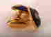 item-131522423=17