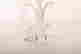 item-131522430=14
