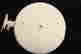 item-131522430=15