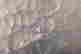item-131522437=19
