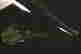 item-131522440=16