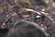 item-131522441=19