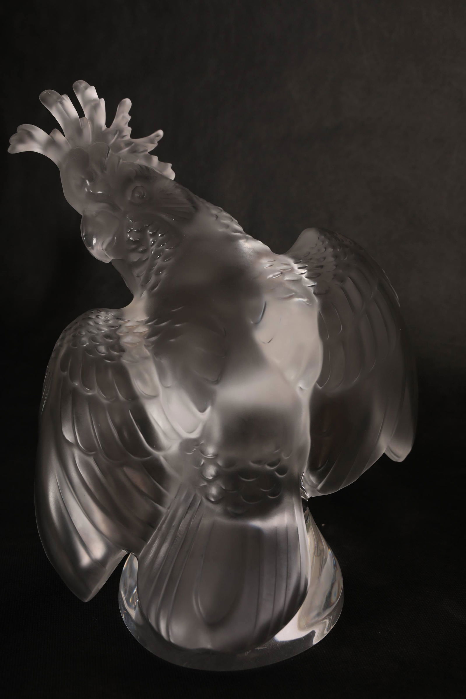 Large Lalique France Crystal "Cockatoo" Sculpture (1 of 20)