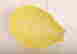 item-131522461=6