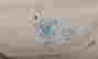 item-131522462=13