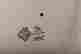 item-131522462=16