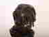 item-131522471=17