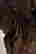 item-131522472=17